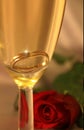Golden ring in champagne Royalty Free Stock Photo