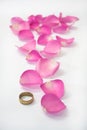 Golden ring and pink rose petals as path Royalty Free Stock Photo