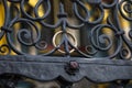 Golden Ring of the Schoner Brunnen