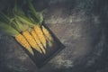 Organic Corn on Cob in Old Crate on Rustic Background