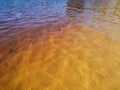 Golden ripples over sandy lakebed Royalty Free Stock Photo