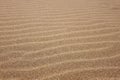 Golden ripples sand