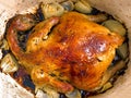 Golden roasted chicken