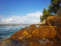 Golden rock near the sea