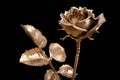 Golden rose Royalty Free Stock Photo