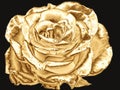 Golden rose on a black background.