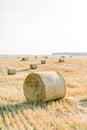 Golden round hay bales in the countryside. Process of harvesting of agricultural fields. Amazing view of the field with Royalty Free Stock Photo