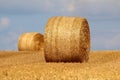 Round straw bales in a field