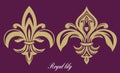 Golden royal lily. The past. Heraldic symbol. Elegant emblem in the form of a flower. Vintage drawing. Royalty Free Stock Photo