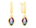 Golden royal pair of earrings with ruby gemstone. Vector isolated female expensive treasure jewelry or bijouterie.