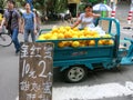 Golden Ruby Melons For Sale