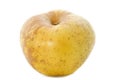 Golden russet apple Royalty Free Stock Photo