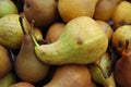 Bosc pears piled together closeup Royalty Free Stock Photo