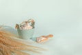 Golden rye ears and bowls of flour on light background. Dry yellow cereals spikelets with shadow , closeup, copy space Royalty Free Stock Photo