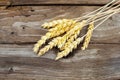 Golden Rye Spikelets Over dark Wooden Background Royalty Free Stock Photo