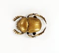 Golden sacred scarab beetle, scarabeus covered with gold isolated on white background macro close up. Unusual beetle bug