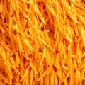 Golden Saffron Threads Close Up View Royalty Free Stock Photo