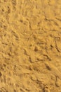 Golden sand background with many footprints Royalty Free Stock Photo