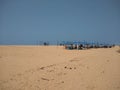 Golden sand beach Poovar Thiruvananthapuram Kerala Royalty Free Stock Photo