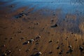 Golden sand, consecrated by the setting sun, by the sea, wet from the ebbing wave Royalty Free Stock Photo