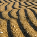 Play of light on the granular sand, creating a rhythmic, almost Royalty Free Stock Photo