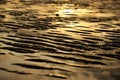 Golden sand dune beach Royalty Free Stock Photo