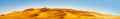 Golden Sand Dune Desert Landscape Panaroma. Beautiful sunset over the sand dunes in the Al Madam Desert.