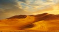 Golden Sand Dune Desert Landscape Panaroma. Beautiful sunset over the sand dunes in the Al Madam Desert.