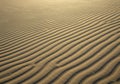 Golden Sand Dune Texture with Wave Pattern Royalty Free Stock Photo