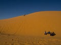 Golden sand dunes in the Algerian desert, the city of Bechar Taghit