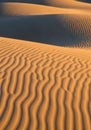 Golden sand dunes create undulating patterns under warm sunlight. The ripples on Royalty Free Stock Photo