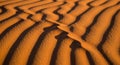 Golden sand dunes display intricate ripples under warm sunlight, creating a textured pattern of Royalty Free Stock Photo