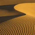 Golden sand dunes with distinct ripples and a deep shadow create a dynamic Royalty Free Stock Photo