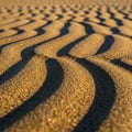 An undulating terrain, emphasizing the texture and interplay of Royalty Free Stock Photo