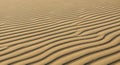 Golden sand dunes feature smooth, wavy Royalty Free Stock Photo