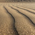 Golden sand dunes feature smoothly flowing ridges and grooves, creating a Royalty Free Stock Photo