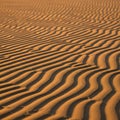 Golden sand dunes with intricate, parallel ripple patterns shaped by wind Royalty Free Stock Photo
