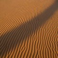 Golden sand dunes with intricate ripple patterns covering the Royalty Free Stock Photo