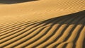 Golden sand dunes with intricate ripple patterns created by wind Royalty Free Stock Photo