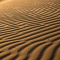 Golden sand dunes with intricate ripple patterns created by wind Royalty Free Stock Photo