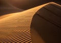 Golden sand dunes with intricate ripples create a striking pattern Royalty Free Stock Photo