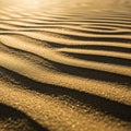 Golden sand dunes with intricate wind-shaped patterns are seen Royalty Free Stock Photo