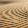 Golden sand dunes with ripples formed by wind. The surface shows alternating light an Royalty Free Stock Photo