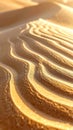 Golden Sand Dunes With Ripples Under Warm Sunlight Royalty Free Stock Photo