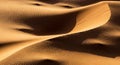 Golden sand dunes with rippling textures and deep shadows creating abstract patterns under warm sunlight Royalty Free Stock Photo