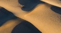 Golden sand dunes with smooth curves and defined ridges create an undulating pattern, casting Royalty Free Stock Photo
