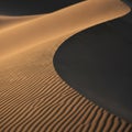 Golden sand dunes with smooth curves and sharp ridges casting deep shadows Royalty Free Stock Photo