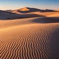 Sparse vegetation is scattered across the dunes adding subtle Royalty Free Stock Photo