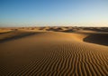 Golden Sand Dunes Under a Clear Blue Sky Royalty Free Stock Photo