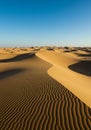 Golden Sand Dunes Under a Clear Blue Sky Royalty Free Stock Photo